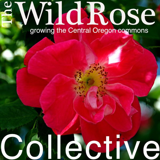 The WildRose Journal